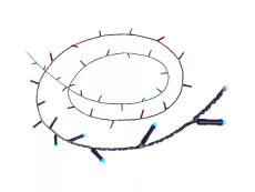 Philips Wiz 8720169076969 Wi-Fi LED Smart Fairy Light Type-C vianočná reťaz 20m 15W 2700-5000K+RGB, IP44 čierna