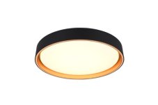 TRIO Reality R64391080 FELIS stropné svietidlo SMD LED D400mm 24W/2500lm 2700-6500K čierno-zlatá, biela, stmievateľné, diaľkový ovládač