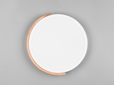 TRIO Reality R67201131 JANO stropné svietidlo SMD LED D310mm 20W/2400lm 3000K biela matná, imitácia dreva, switchdimmer