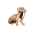 Dárky pro domácí mazlíčky