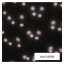 DCPC03 EMOS LED dekorativní projektor – padajíci vločky, IP44, bílá