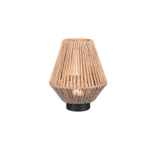 TRIO Reality R55991126 LIRA stolní lampička v220mm SMD LED 1,5W/140lm 3000K hnědá