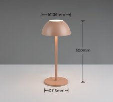 TRIO Reality R54106165 RICARDO dotyková stolní lampička v300mm SMD LED 1,7W/240lm 3000K IP54 kávová