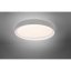 TRIO R62712411 ZETA stropní svítidlo LED D485mm 24W/1920lm 2700-6500K, šedá, bílá, stmívatelné, dálkové ovládaní