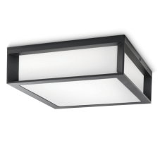 Philips Skies venkovní stropní/nástěnné svítidlo E27 2x42W IP44 antracitové