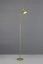 TRIO Reality R45831115 PONGO stojacia lampa v1450mm SMD LED 4,5W/500lm 3000K zelená