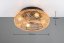 TRIO Reality R67302126 LILLESAND stropné svietidlo s ventilátorom 4xE27 D500mm čierna, béžové