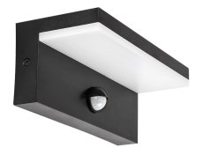 RABALUX 77115 Zaragoza vonkajšie nástenné svietidlo so senzorom LED 9W/800lm 2700+4000+6500K IP54 čierna