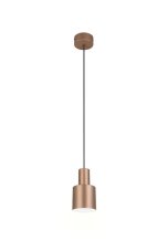 TRIO 319400165 AGUDO závěsné svítidlo D120mm 1xE27 kávová