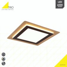 TRIO 641510280 MORGAN stropné svietidlo SMD LED 450x450mm 46W/6000lm 2700-6500K zlatá, čierna, stmievateľné, diaľkový ovládač