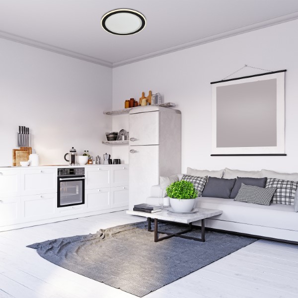 RABALUX 71406 Golwen stropní svítidlo D450mm LED 22W/1550lm 3000-6500K černá, bílá, stmívatelné, dálkový ovladač