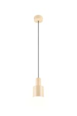 TRIO 319400144 AGUDO závěsné svítidlo D120mm 1xE27 plavá