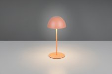 TRIO Reality R55601140 ORTIZ dotyková stolní lampička v200mm SMD LED 2W/150lm 3000K IP44 marhuľová, ON/OFF