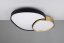 TRIO 647519280 RISE stropní svítidlo SMD LED 45W/5300lm 2700-6500K černo-zlatá, stmívatelné, dálkový ovladač