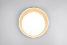 TRIO Reality R64611179 ALETA stropní svítidlo D450mm SMD LED 24W/2500lm 2700 - 6500K zlatá, dálkový ovladač