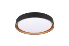 TRIO Reality R64391080 FELIS stropní svítidlo SMD LED D400mm 24W/2500lm 2700-6500K čierno-zlatá, bílá, stmívatelné, dálkový ovladač