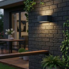 Exteriérové ​​nástěnné svítidlo Ideal lux 061597 ANDROMEDA AP1 NERO 1xE27 60W IP55