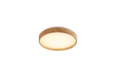 RABALUX 71143 LEANA2 stropné svietidlo LED D260mm 12W/730lm 3000K buk, starlight efekt