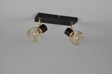 TRIO Reality R81382080 ARDON stropní bodové svítidlo/spot 2xE14 černá, zlatá