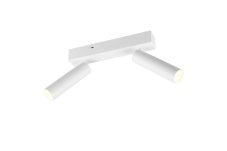 TRIO 849210231 AMBALA stropné bodové svietidlo/spot SMD LED 2x5,5W/500lm 2300+3000+4000K biela matná, switchdimmer