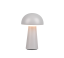 TRIO Reality R52176177 LENNON vonkajšia dekoračná dotyková lampička SMD LED 2W/180lm 3000K IP44 šedá, nabíjateľná batéria, USB