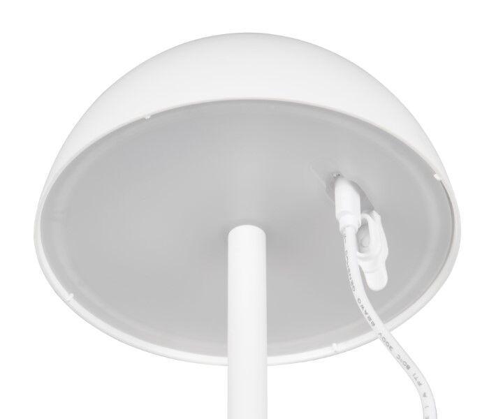 TRIO Reality R54106131 RICARDO vonkajšia dotyková stolná lampa SMD LED V300mm 1,7W/240lm 3000K IP54 biela matná, nabíjateľná batéria, USB-C port