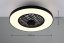 TRIO Reality R64462102 LINKÖPING stropní svítidlo s ventilátorem D590mm SMD LED 45W/5600lm 2700-6500K černá, dálkový ovladač