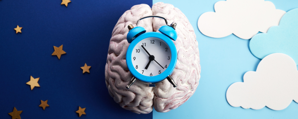 Cirkadiánní rytmus