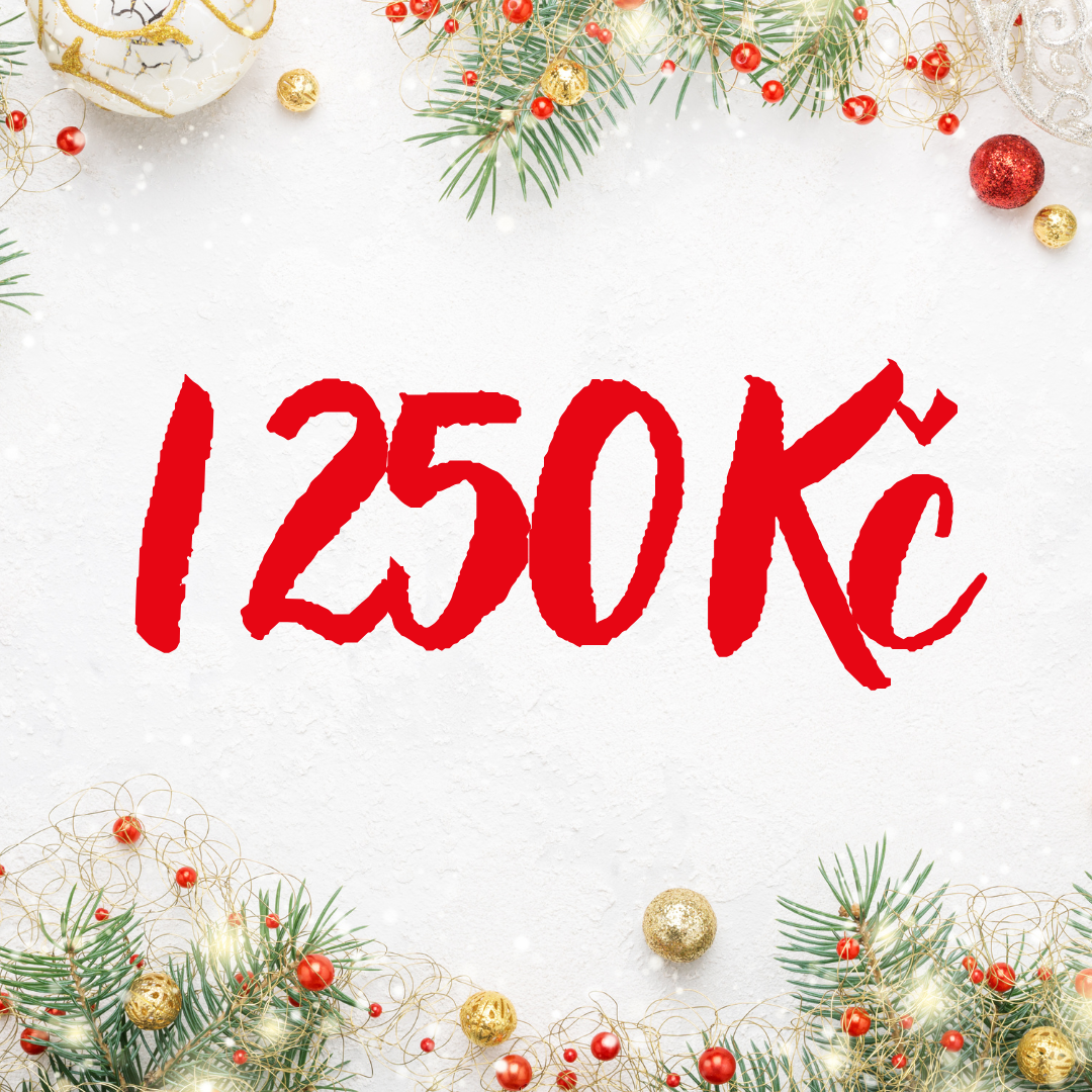 Nejlepší a nejoriginálnější tipy na vánoční dárky do 50 € na FEIM