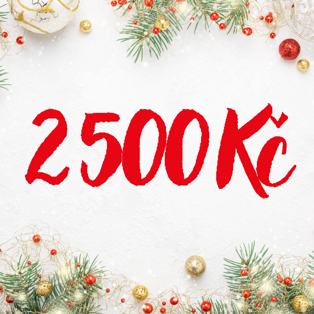 Nejlepší a nejoriginálnější tipy na vánoční dárky do 100 € na FEIM